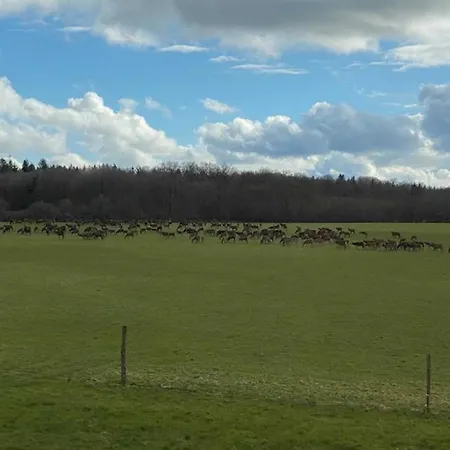 Rural En Normandie Avec Animaux Admis Et Wifi, Nature Et Calme - Fr-1-497-227 Feriehus *