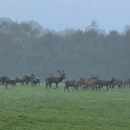 Rural En Normandie Avec Animaux Admis Et Wifi, Nature Et Calme - Fr-1-497-227 Hébergement de vacances *