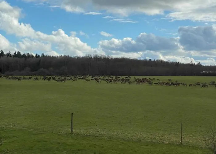 度假居 Rural En Normandie Avec Animaux Admis Et Wifi, Nature Et Calme - Fr-1-497-227 La Trinite-des-Laitiers