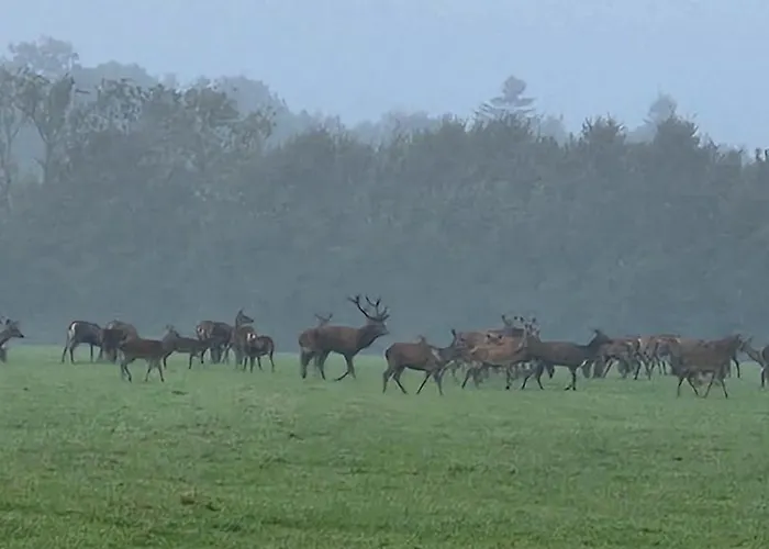 Rural En Normandie Avec Animaux Admis Et Wifi, Nature Et Calme - Fr-1-497-227 度假居 *